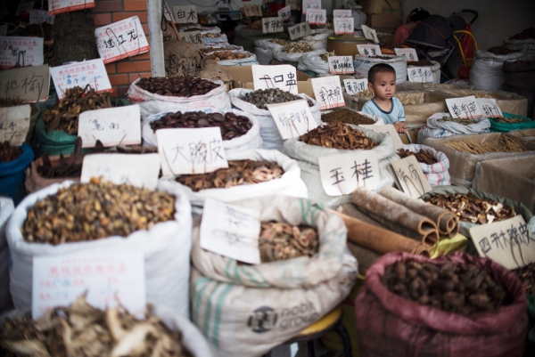 大陆一中药市场(Getty Images) 大陆一中药市场(Getty Images)