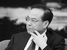 孙政才 孙政才
