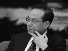 孙政才