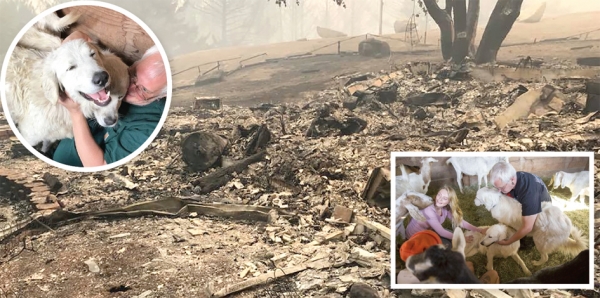 上图:火灾之后,兰德的农场只剩下一片废墟;左上图:牧羊犬奥丁和特莎。 上图:火灾之后,兰德的农场只剩下一片废墟;左上图:牧羊犬奥丁和特莎。