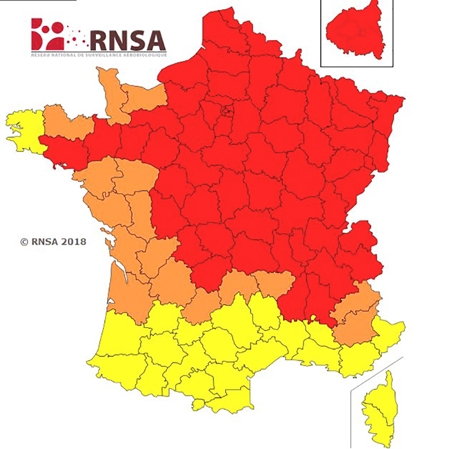 根据生物空气监控中心(RNSA)的网站显示,法国大部分地区处于红色预警状态。(图片来源/RNSA) 根据生物空气监控中心(RNSA)的网站显示,法国大部分地区处于红色预警状态。(图片来源/RNSA)