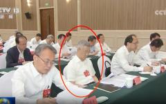 胡海峰参加第十次全国对口支援新疆工作会议。（视频截图）