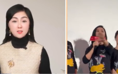 (图片来源：视频截图)