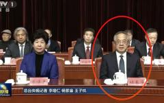 中共政协副主席胡春华出席12月17日在北京举行的民建成立80周年大会。（视频截图）