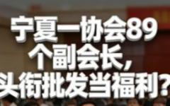 宁夏餐饮饭店协会设置89个副会长。（图片来源：网路截图）