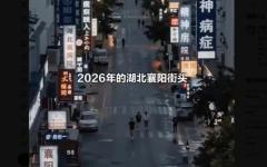 湖北襄阳街头精神病院多如牛毛。（图片来源：视频截图）