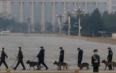2022年3月10日，在北京人民大会堂举行的全国政协会议闭幕前，中共警犬和爆炸物处理队在天安门广场进行安检。（图片来源：Kevin Frayer/Getty Images）