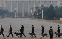2022年3月10日，在北京人民大会堂举行的全国政协会议闭幕前，中共警犬和爆炸物处理队在天安门广场进行安检。（图片来源：Kevin Frayer/Getty Images）