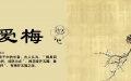 古人爱梅         
