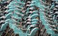 Vélib’共享单车（AFP/Getty Images)
