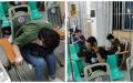 网络传出云南省西双版纳爆发了登革热，已经死了800多人，当地医院已经爆满无法再收新的病人。（合成图片）