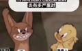 （网络截图）
