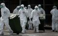 工作人员于2014年1月28日处置被淘汰的死鸡（图片来源：PHILIPPE LOPEZ/AFP via Getty Images）