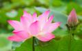 唯有心存善念、敬天信神，方能获得天佑，走向未来。（图片来源：pixabay）
