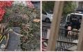 贵州捐赠湖北鄂州千吨蔬菜烂在仓库和被官警瓜分。（图片来源：网络）