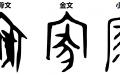 网络图片