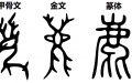 网络图片
