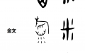 网络图片