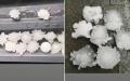 6月25日端午节，北京及河北地区下起外形酷似冠状病毒的大冰雹。