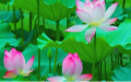 爱心和鼓励能令人茁壮成长。（图片来源：Pixabay）