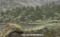   “听命湖”​​  也叫  “迷人湖”