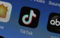TikTok手机APP （图片来源：Justin Sullivan/Getty Images）