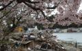 2011年3月11日日本气仙沼市发生地震和海啸后的景象（123RF）