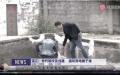 近期，陆媒自曝广东湛江吴川市陈氏村民一处300年的祖坟被逼迁（图片来源：视频截图）