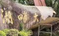 “湖畔大学”四个大字正在被抹去。