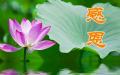 （图片来源：Pixabay）