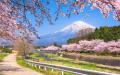 日本田园风光（Adobe Stock）