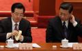 2012年中共18大时，胡锦涛的全退被舆论称为 “ 胡锦涛学董存瑞炸碉堡 ”。