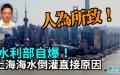 王维洛专访（图片来源：看中国）