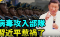 （图片来源：视频截图）