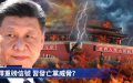 （图片来源：视频截图）