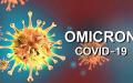 大陆发现奥密克戎（Omicron）新变异毒株。（图片来源：翻拍）