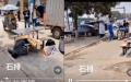 广东东莞有人饿死街头。（图片来源：视频截图）