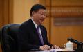 习近平的反腐运动主要是搞党内清洗、打击政敌。
