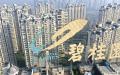 中国碧桂园（Getty Images）