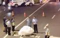 河南洛阳一物体掉落将路面砸出大坑。（图片来源：视频截图）