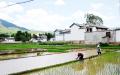 中国农村（Getty Images）