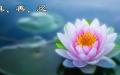 人来世间，就是一场修行。 （图片来源：网络截图）