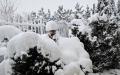 山东威海近日暴雪。（图片来源：网路截图）