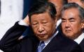 中国国家主席习近平 外交部王毅