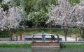 2024年4月8日，北京     （图片来源：JADE GAO/AFP via Getty Images）