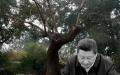 刀兵之灾凶兆频出，习近平即将大祸临头了？习近平和歪脖子树。（看中国合成）