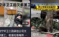 广西南宁一地环卫工因被欠薪数月，连日罢工致垃圾遍地。（图片来源：抖音截图
