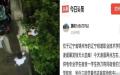 福建理工学院、辽宁铁道职业技术学院爆砍杀血案，多名学生伤亡。（图片来源：网路截图）