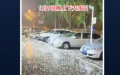 (图片来源：视频截图)