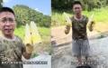 近日，曝光河北甲醛白菜的大陆博主“渔猎齐哥”，再发视频揭露广东硫磺竹笋。（图片来源：视频截图）